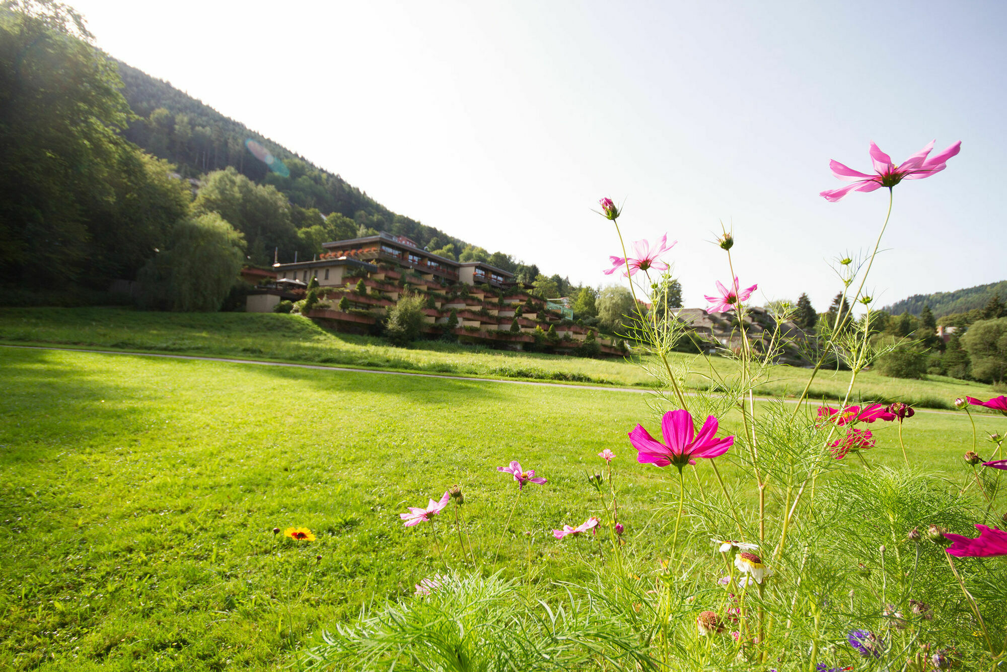 Hotel Valsana Am Kurpark Bad Wildbad Exterior foto